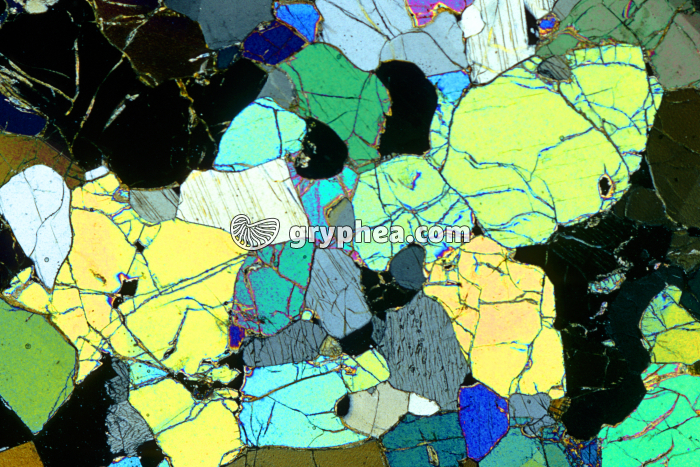 Péridotite LPA x5 - gryphea.org